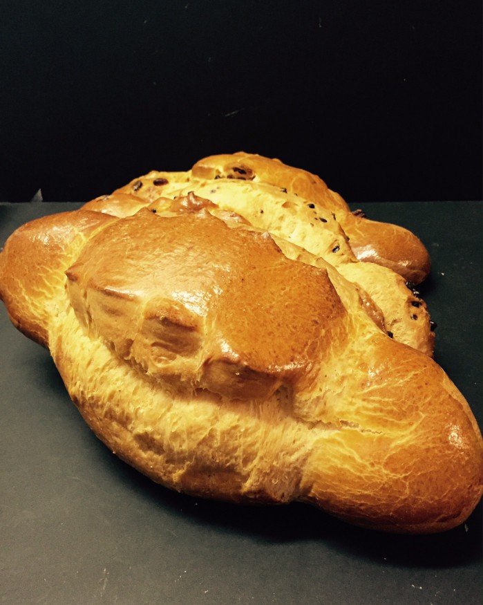 Coquille nature 500g non tranchée