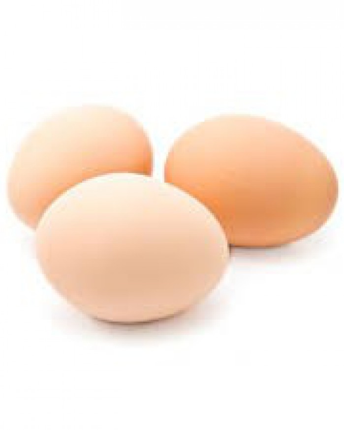 Oeuf