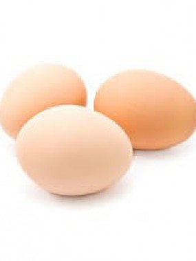 Oeuf